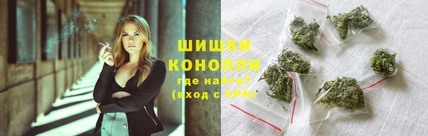 бошки Алексин