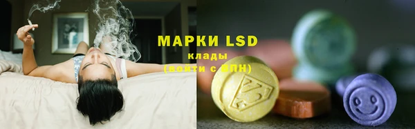 бошки Алексин