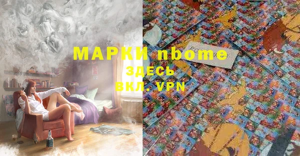 хмурый Алзамай