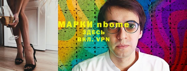 хмурый Алзамай