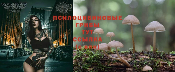 амфетамин Алексеевка