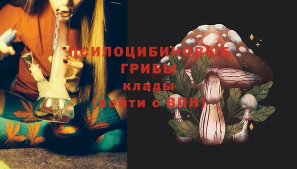 хмурый Алзамай