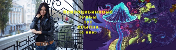 хмурый Алзамай