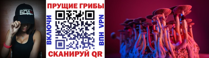 Галлюциногенные грибы мухоморы где найти Бабаево