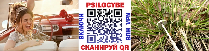 Псилоцибиновые грибы GOLDEN TEACHER Бабаево